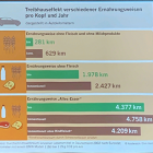 Vortrag: Regenwald in Flammen